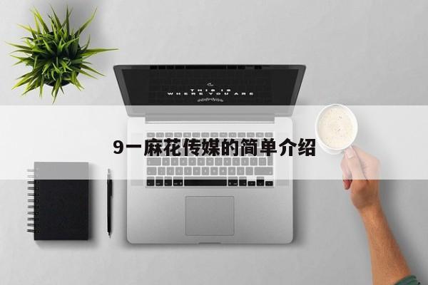 9一麻花传媒的简单介绍