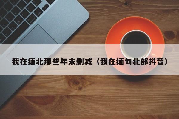 我在缅北那些年未删减（我在缅甸北部抖音）