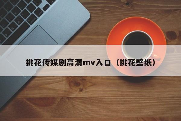 挑花传媒剧高清mv入口（挑花壁纸）