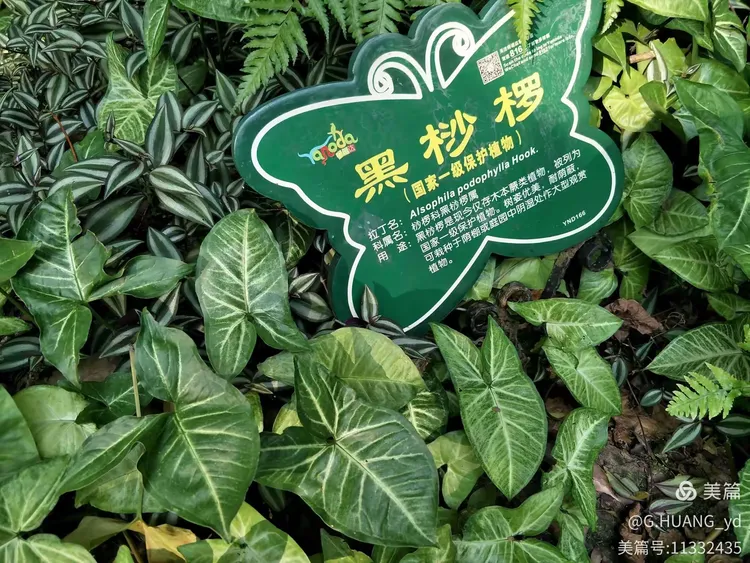 天堂mv在线mv青果园(天堂mv在线mv青果园视频) 天堂mv在线mv青果园(天堂mv在线mv青果园视频)