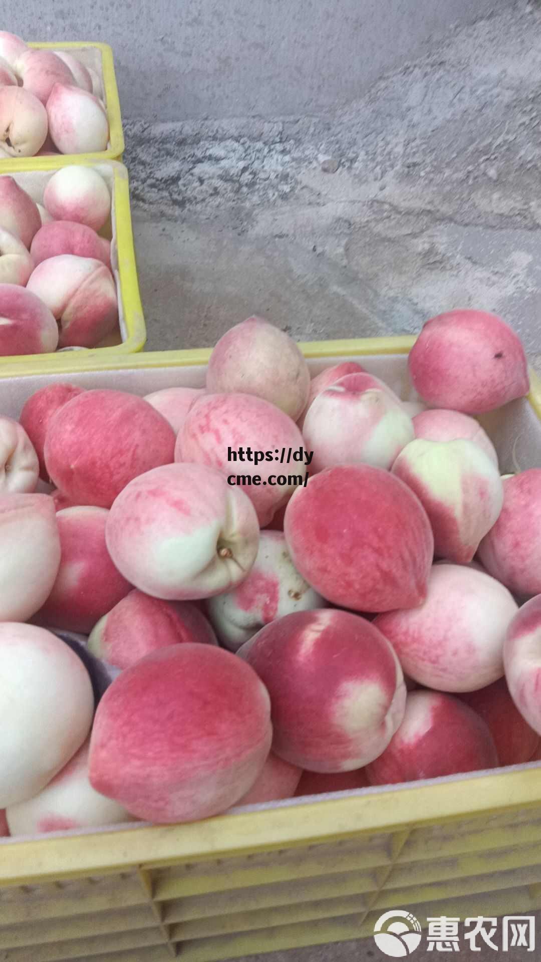 蜜桃观频的简单介绍 蜜桃观频的简单介绍