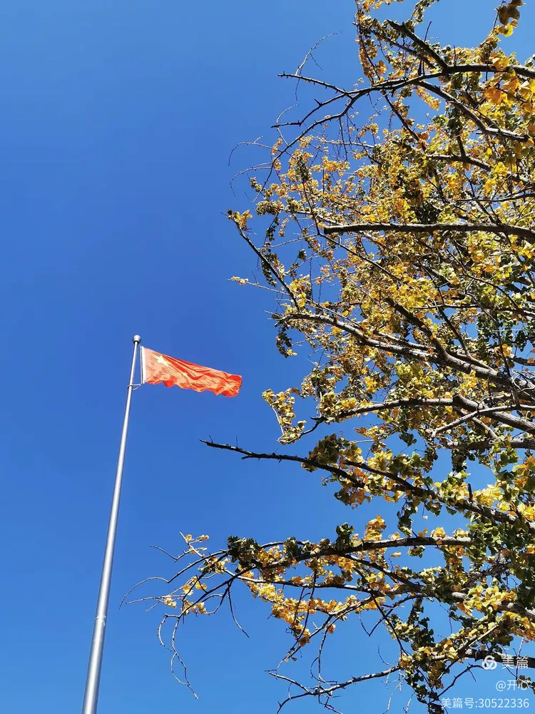 九一网页免费版(国外免费外贸网站) 九一网页免费版(国外免费外贸网站)