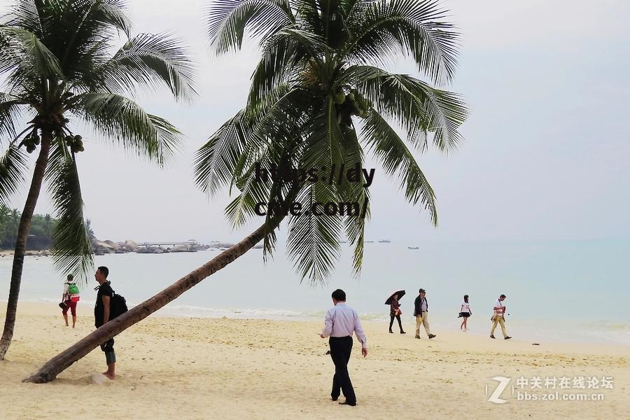 包含海角天涯社区在线播放免费在线看的词条