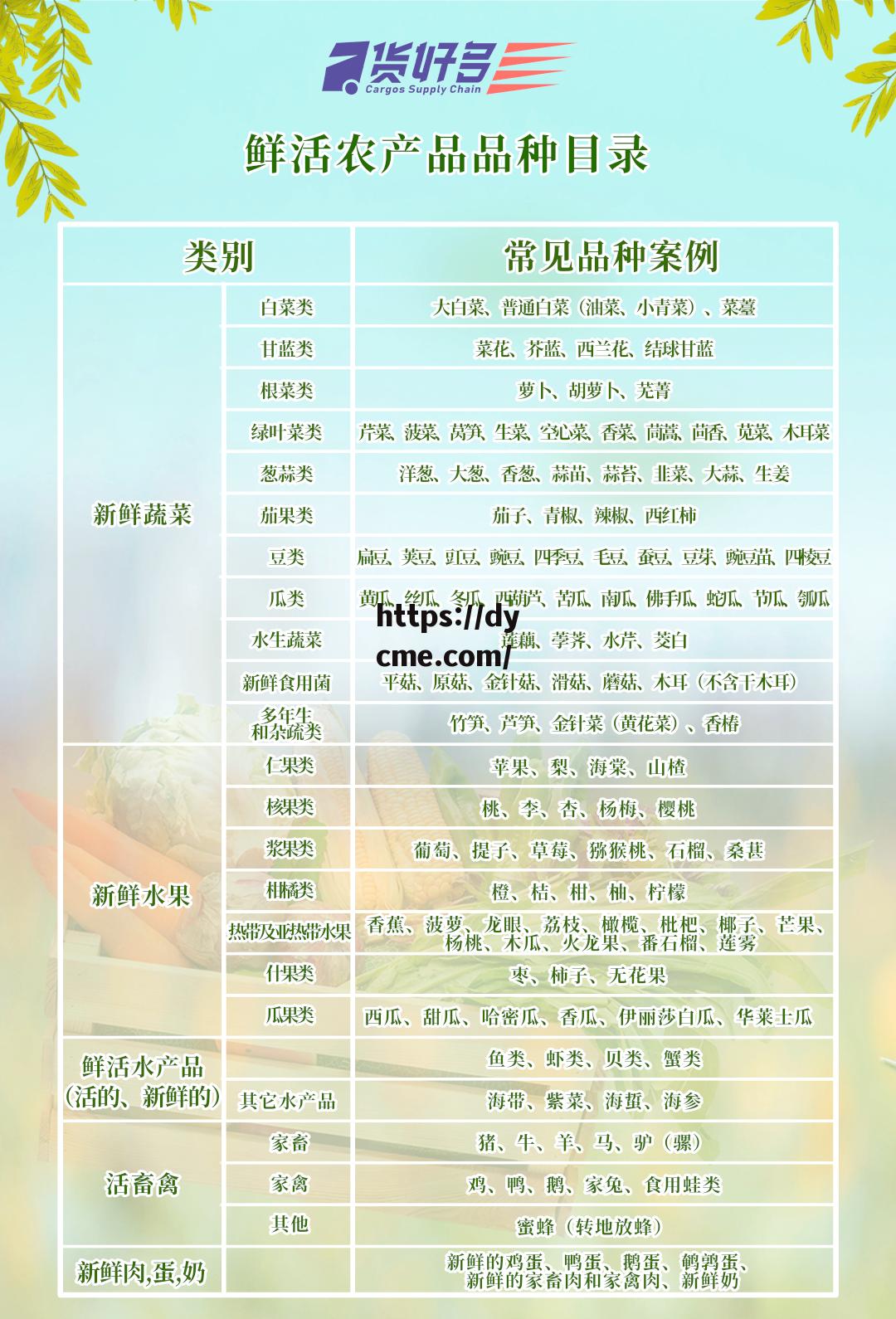 综合免费产品(综合免费产品是什么) 综合免费产品(综合免费产品是什么)