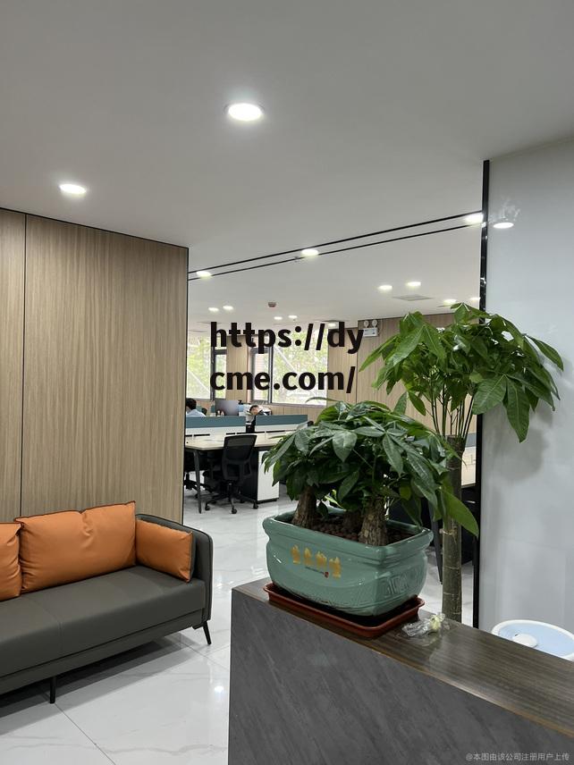 红挑传媒(0002610)