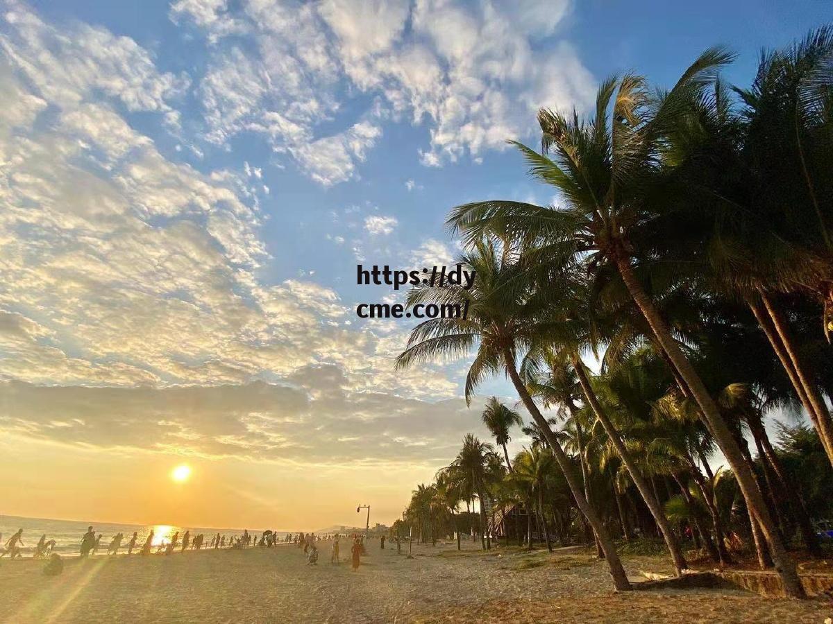 海角黑料网(海角论坛 mp4 下载)