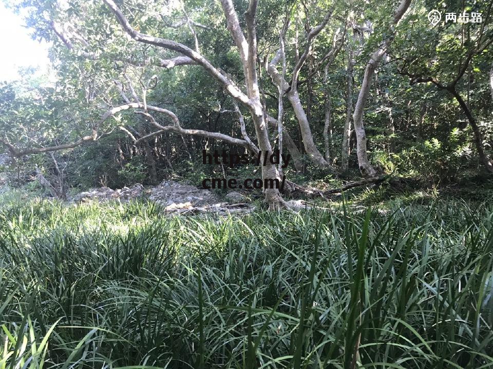 海角黑料网(海角论坛 mp4 下载)