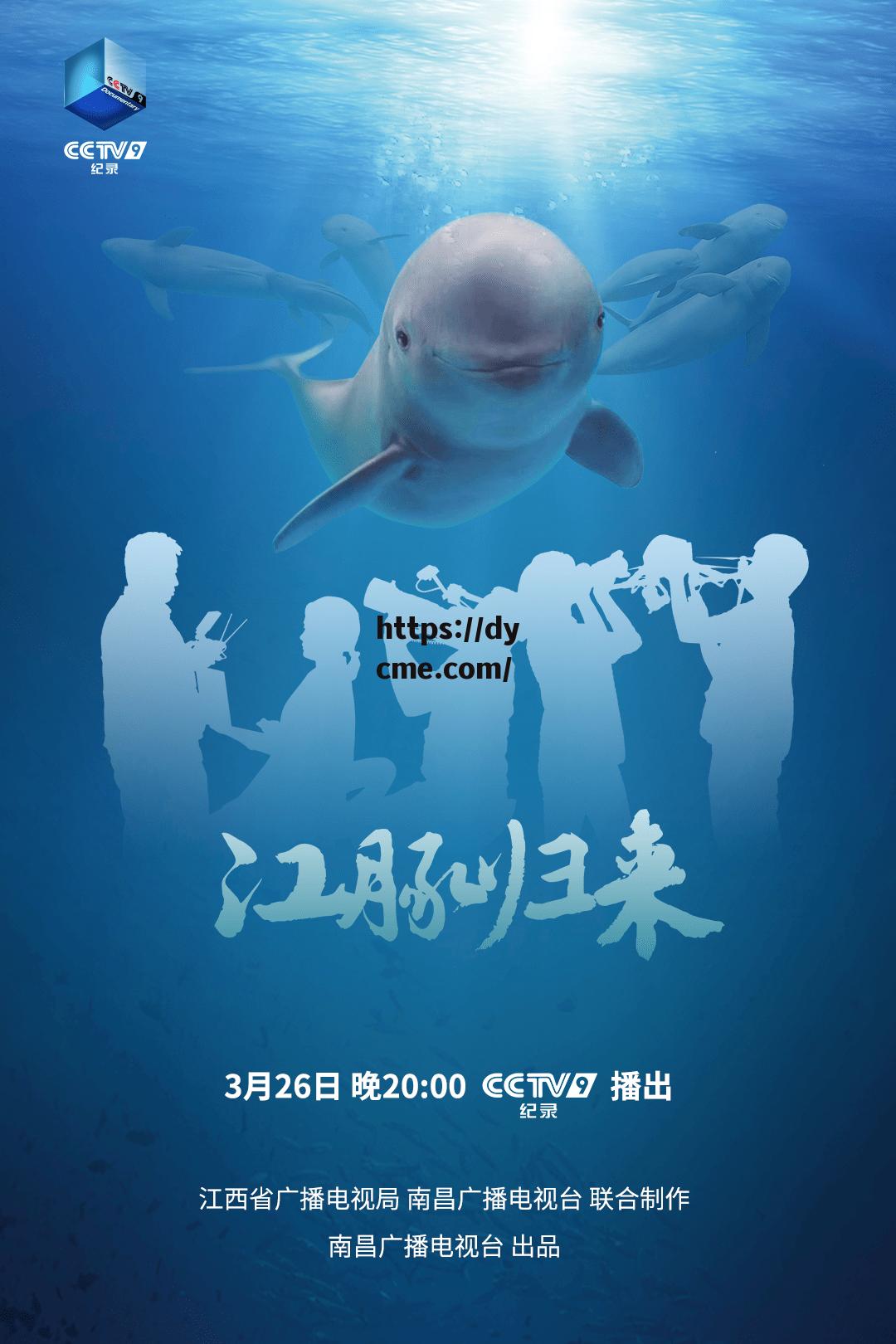 海豚电影免费大全(海豚电影免费大全高清)