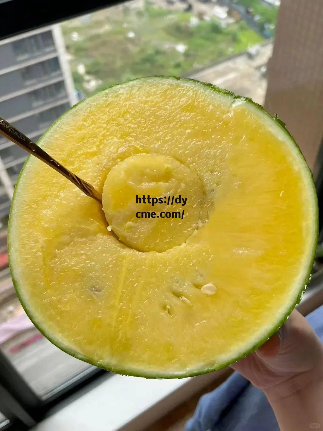 今日吃瓜51cg热门大瓜(今日吃瓜51cg热门大瓜视频) 今日吃瓜51cg热门大瓜(今日吃瓜51cg热门大瓜视频)