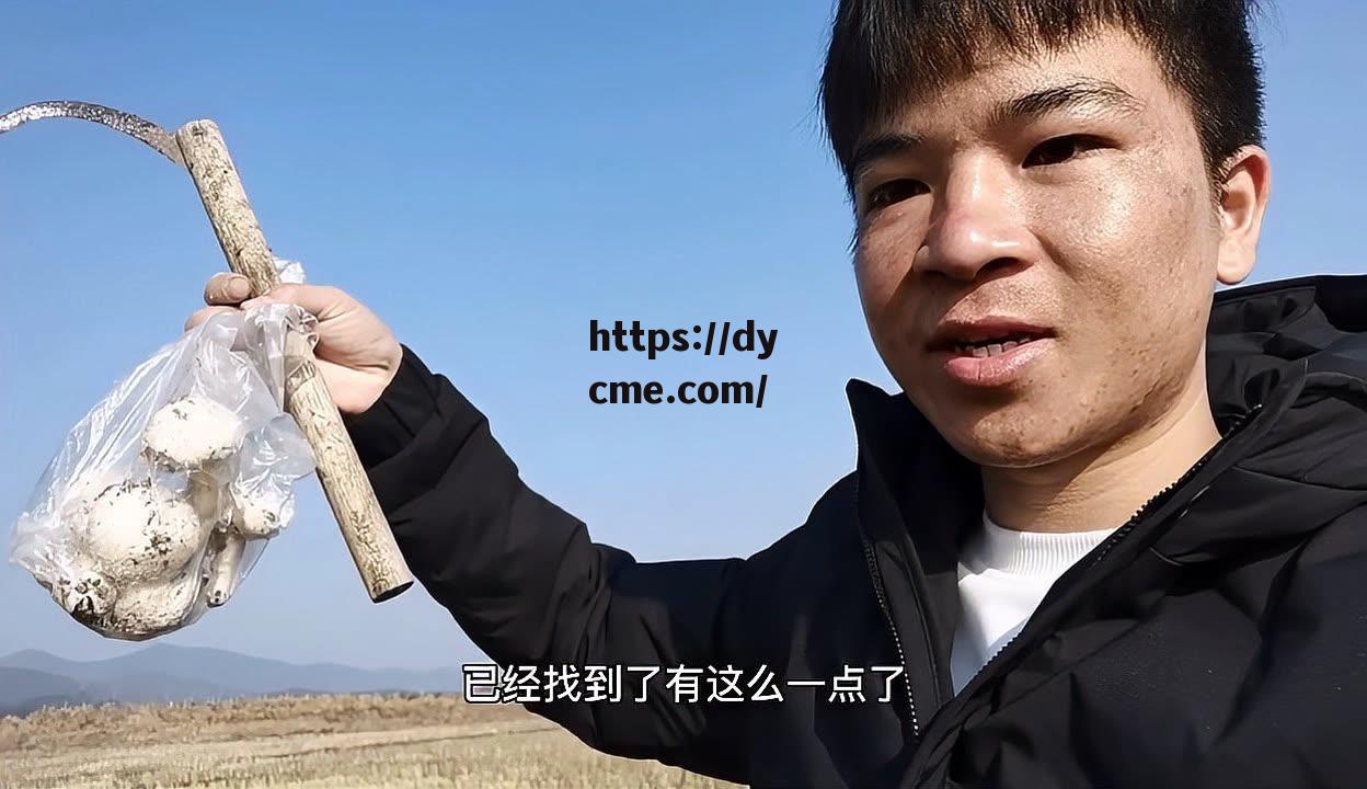 关于91传剧原创mv在线观看磨茹视频的信息