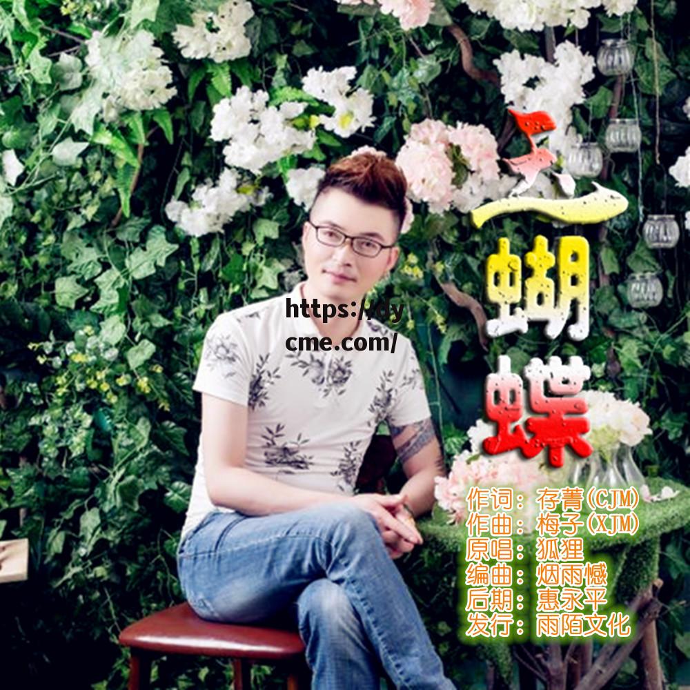 蝴蝶传媒91(蝴蝶传媒917)