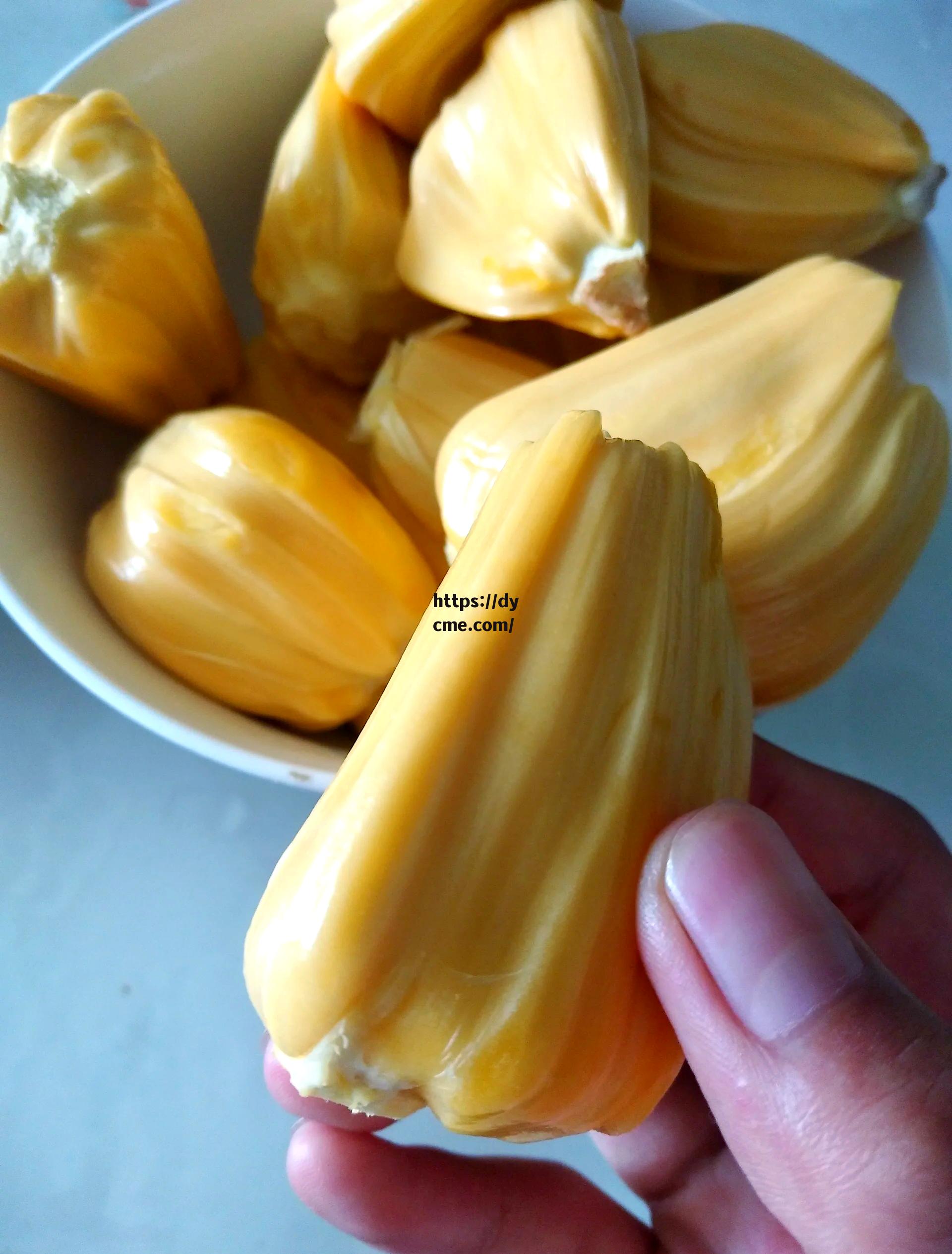 菠萝菠萝蜜免费春姑的简单介绍 菠萝菠萝蜜免费春姑的简单介绍