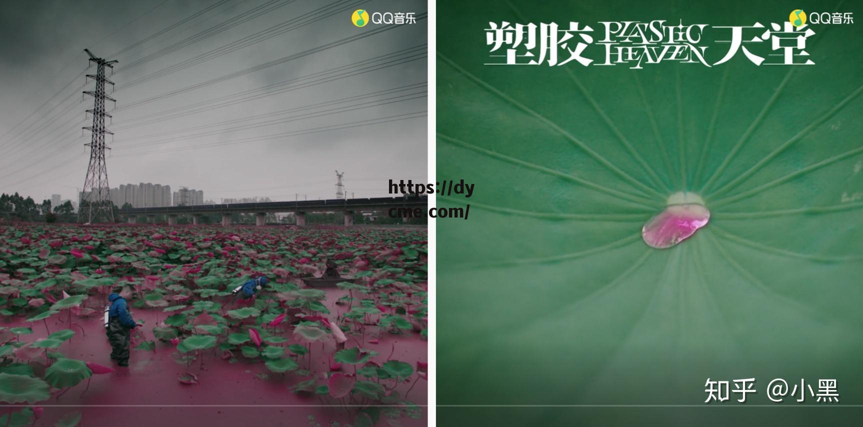 天堂mv在天堂mv(好多次听着这首天堂泪流满面,太好听了!分享给大家)