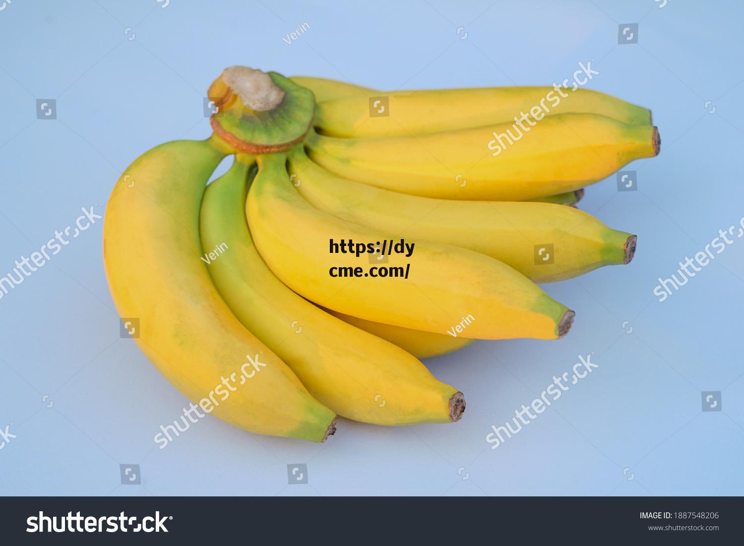 欧美香蕉精品在免费二区区完整(欧美优品)