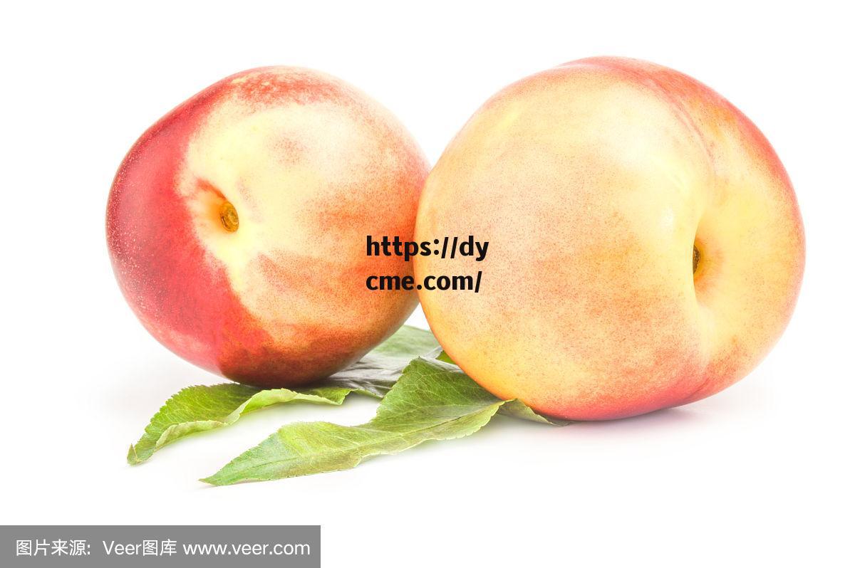 关于美丽小桃子免费在线观看的信息