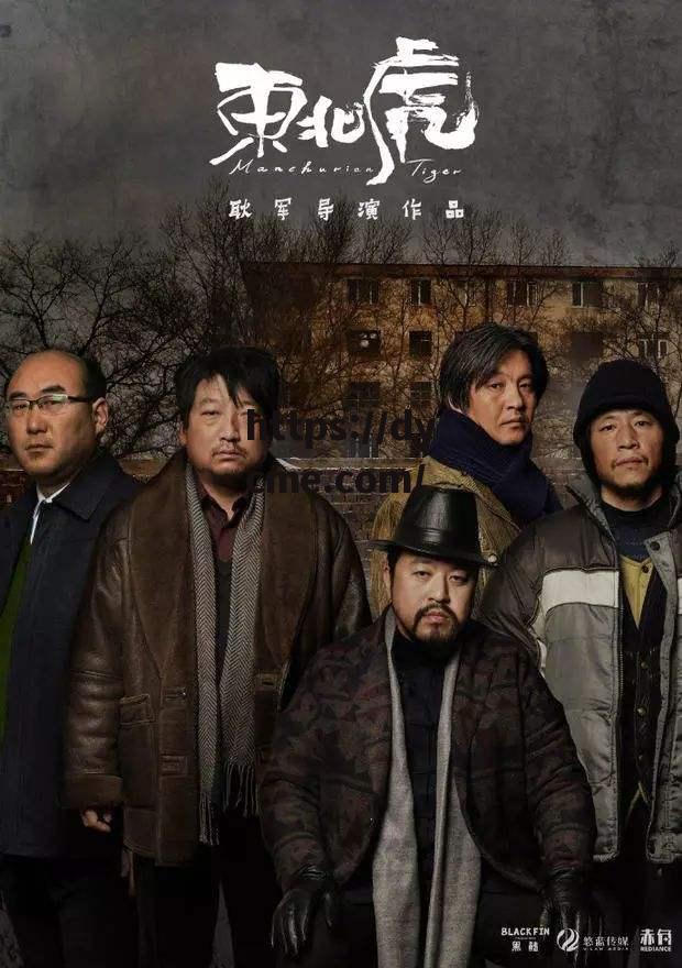 新四影虎影(4虎cvt4wd和8wd哪个好)