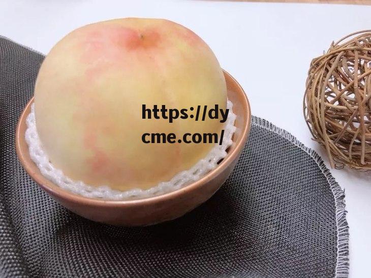 水密桃实验研究(水密桃的品种有哪些)