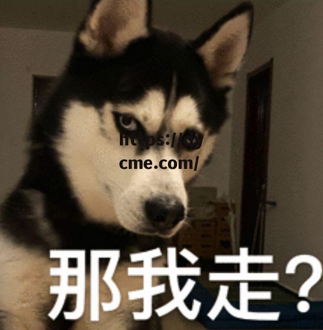 www17ccom梗百科的简单介绍