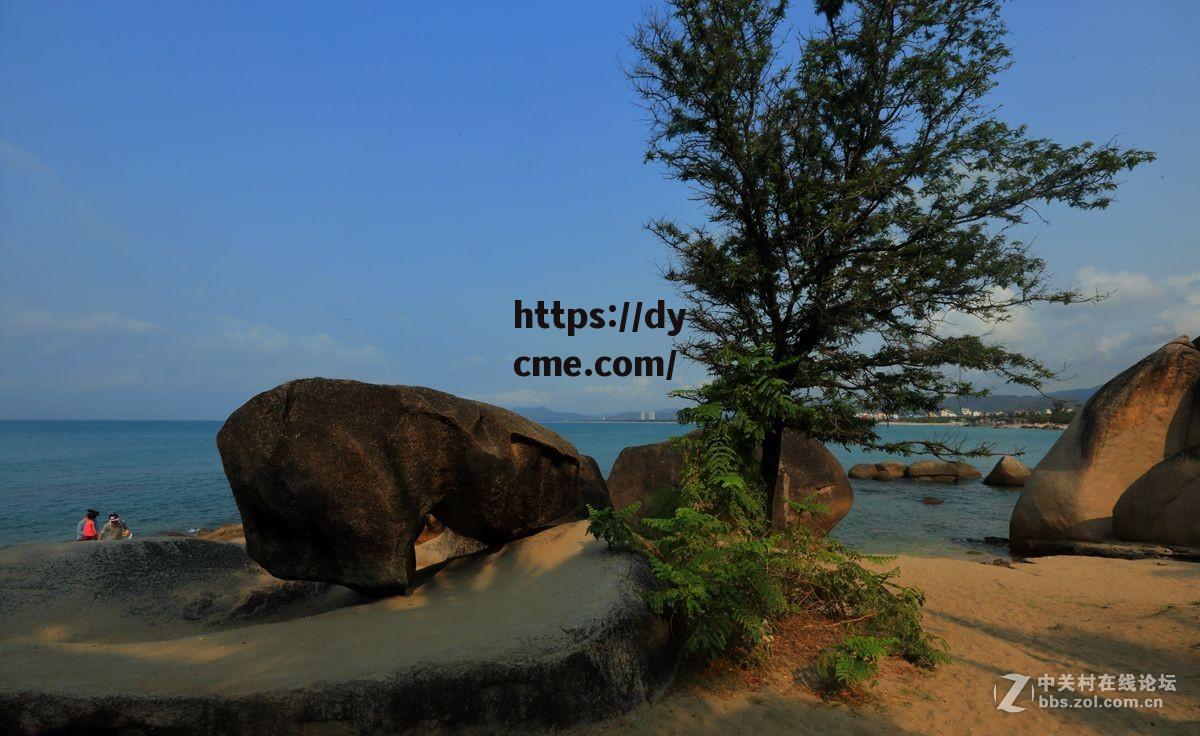 海角国产在线观看(海角乐园腾讯影视在线播放)