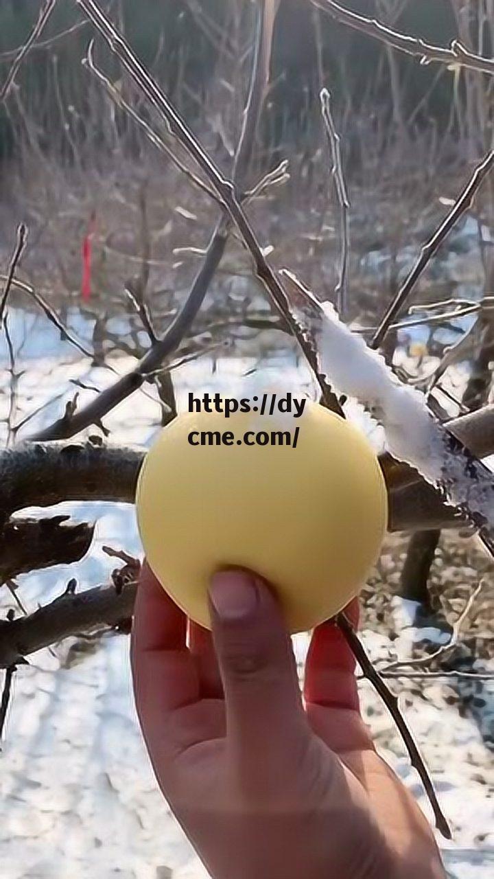 911爆料免费观看糖心的简单介绍 911爆料免费观看糖心的简单介绍