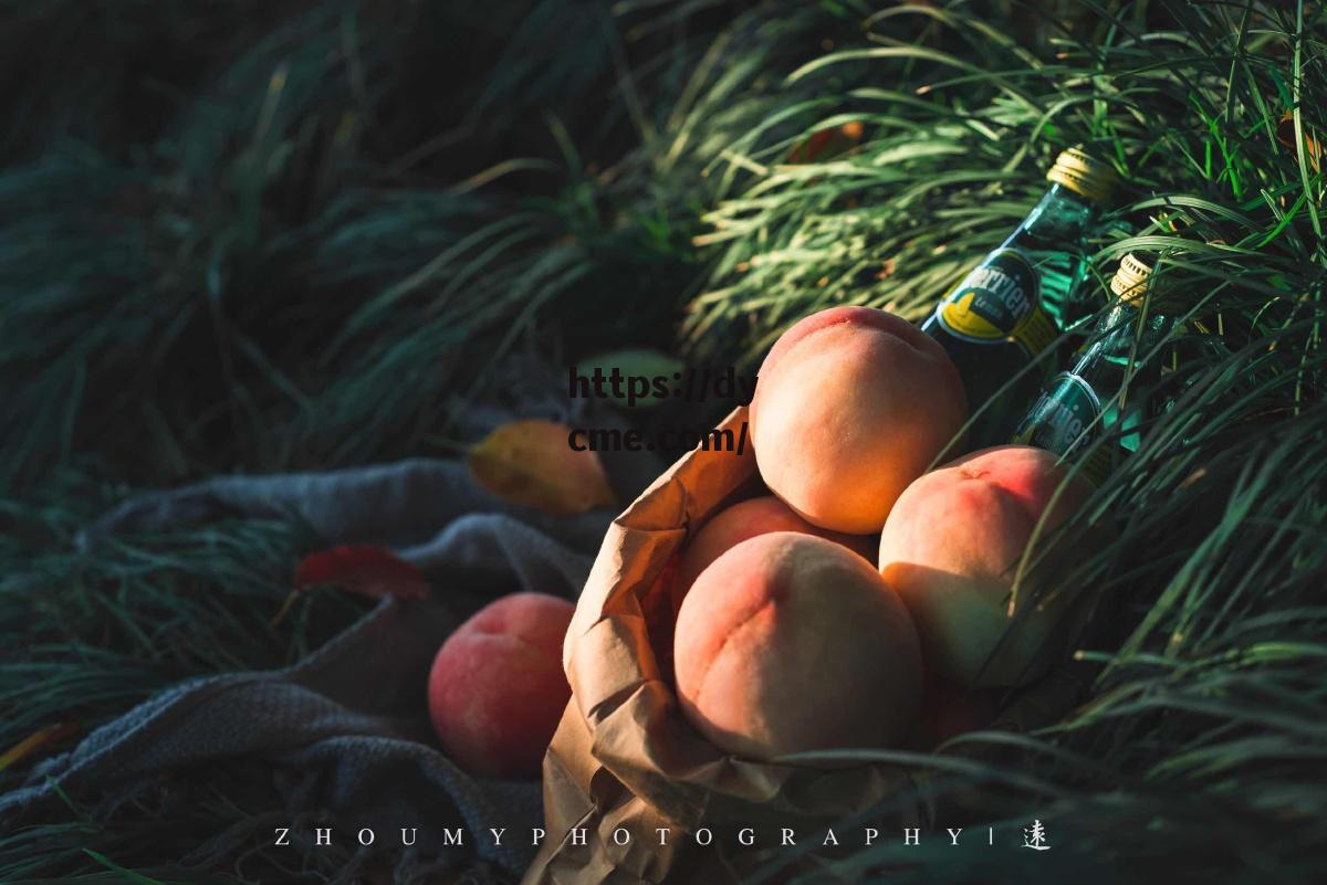 水蜜桃视频黄禁免费_大灰狼ak永久回家地_水蜜桃福利午夜精品一区_水蜜蜜-www.rigou9.com_水蜜桃久久夜色一区的简单介绍