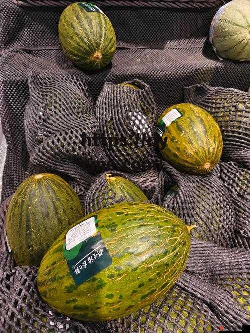 关于51今日吃瓜热门大瓜视频的信息 关于51今日吃瓜热门大瓜视频的信息