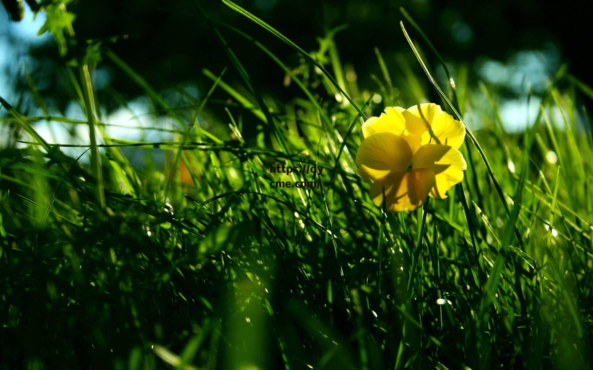 天堂MV小草(电脑字母大写怎么按) 天堂MV小草(电脑字母大写怎么按)