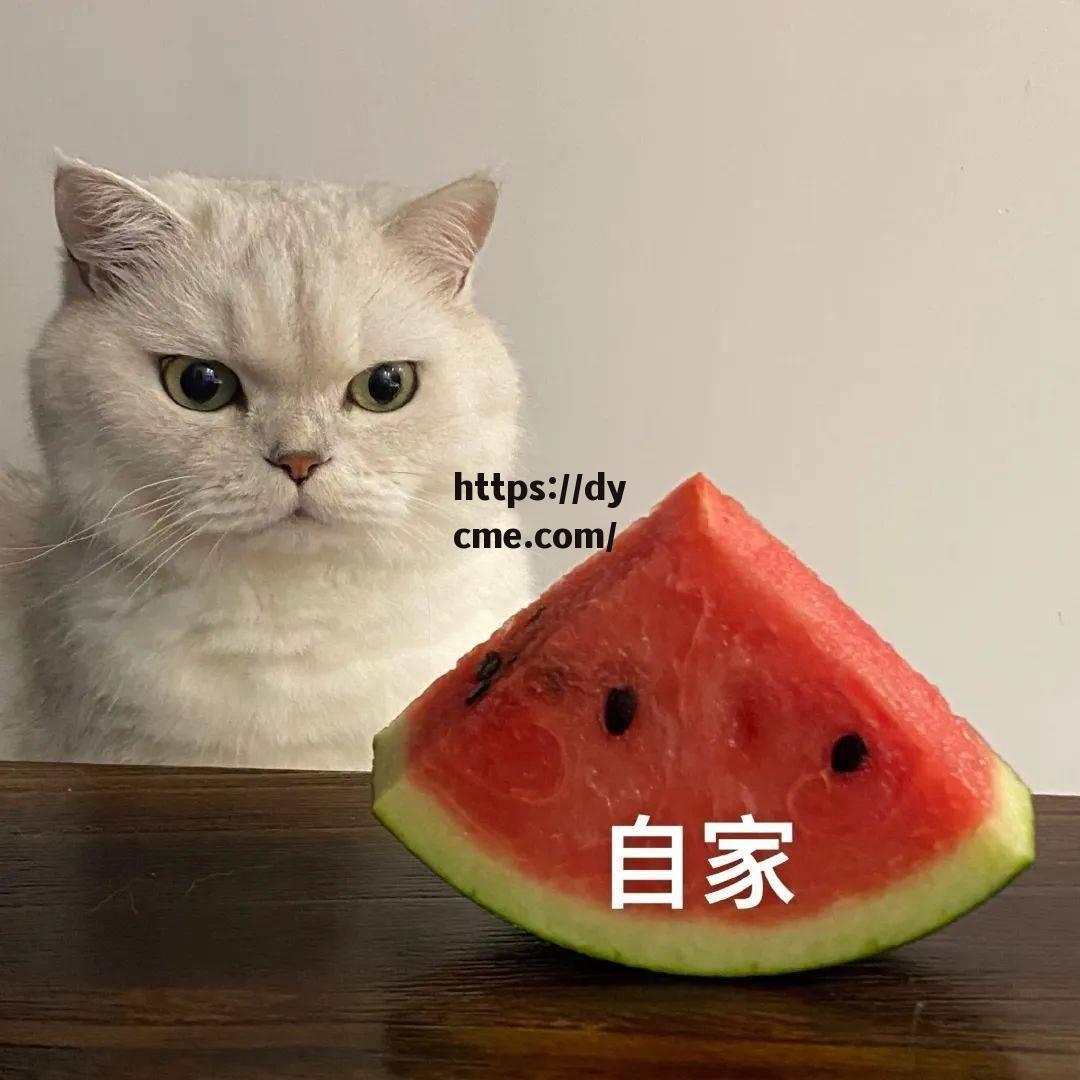 17吃瓜在线(17吃瓜在线今日吃瓜)