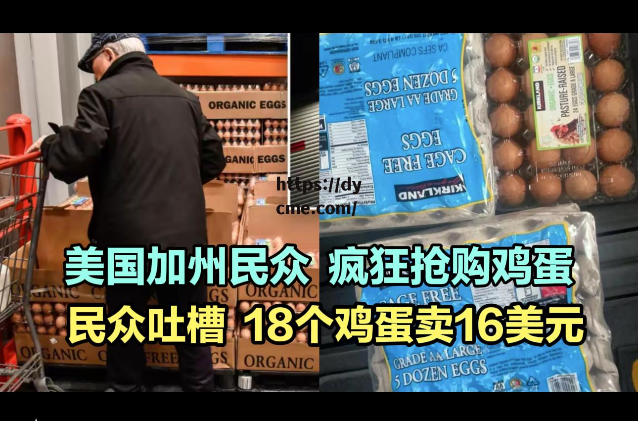 www17c(www17yycom)