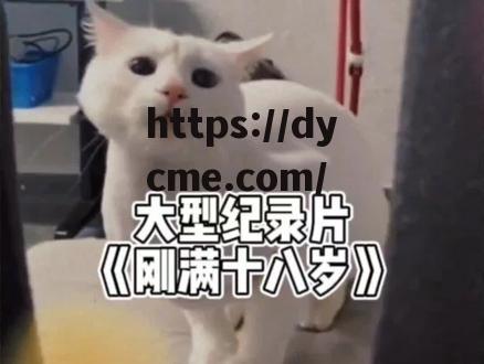 滿18周歲請自覺離開本(已满18从点此自动转yp) 滿18周歲請自覺離開本(已满18从点此自动转yp)